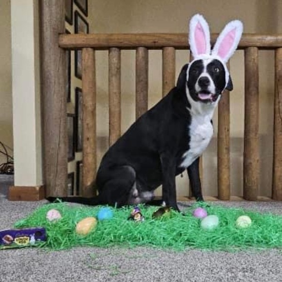 🎨FUZZ IS LIVE! NO THEME SHARE SHOW🎨 - Picture 11 of 13